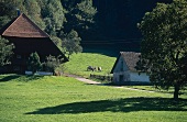 Landschaft in Baden, Wiesen, Weiden 
