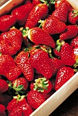 Frische Erdbeeren 