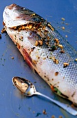 Close-up of raw sea bass next to a spoon
