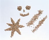 Various shapes made from sunflower seeds on white background