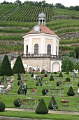 Schloss Wackerbarth Weingut in Radebeul Sachsen Deutschland