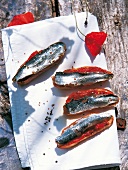 Crostini with marinated sardines on white napkin