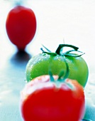 Grüne und rote Tomate 