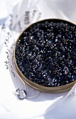 Iranischer Kaviar in der Dose   X 