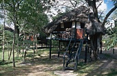 View of tree house in Hwange National Park, Zimbabwe