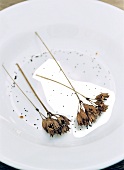 Close-up of dried primula veris on plate