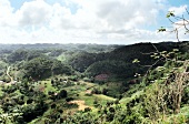 View of hilly landscape with forests in Jamaica