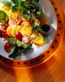 Colourful potato salad with radishes on plate
