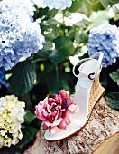 Sandalen auf einem Stück Holz mit Blumen drumherum