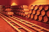 Barrique-Fässer lagern im modernen Keller des Weingutes Maurodos