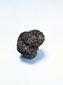 Black truffle on white background