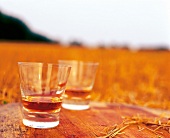 Gläser mit schottischem Malt Whisky 
