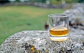 Glas Whisky auf einem Felsen 