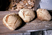 Brotlaiber bread fresh from the oven on wooden surface