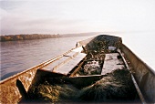 Fischerboot mit gefangenen Fischen im Wasserbecken