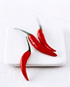 3 rote Chili-Schoten auf einem weißen, quadratischen Teller
