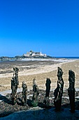 View of tree stumps overlooking St. Malo fort, Brittany, France