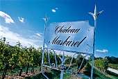 Ein Feld mit Rebstöcken, davor das Schild "Château Masburel", Bergerac