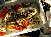 Roasted sparidae with vegetables on baking tray