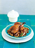 Roasted quail with balsamic and lentils on plate