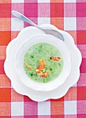 Cucumber soup with fresh salmon in bowl