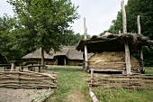 View of thatched house in forest, Germany