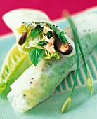 Close-up of spicy spring roll with chicken meat