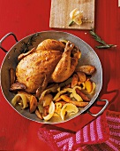 Chicken paprikash in casserole