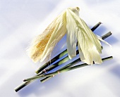 Haarpflege, Naturprodukte, Bambus und Mais