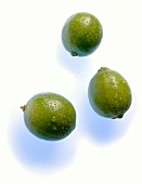 Close-up of three green lemon on white background