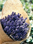 Lavendelstrauss, close up 