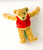 Teddybär mit roter Jacke 