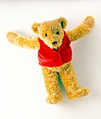 Teddy bear with red jacket on white background