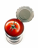 Close-up of fresh tomato in an opened tin on white background