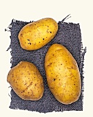 Linda Biokartoffeln, Kartoffelsorte