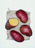 Roseval organic potatoes on white background