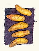 Bamberger Hörnchen Biokartoffeln, Kartoffelsorte