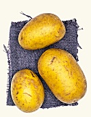 Finka Biokartoffeln, Kartoffelsorte