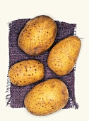 Solara Biokartoffeln, Kartoffelsorte