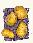 Hela Biokartoffeln, Kartoffelsorte