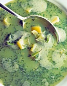 Close-up of nettle soup