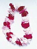 Blumenkette in Rot-Weiß, Hawaii, Freisteller