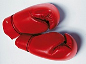 Freisteller: Rote Boxhandschuhe 