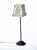 Close-up of electric floor lamp on white background