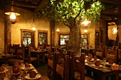 Laid tables and chair with artificial tree in Shinok Restaurant, Moscow, Russia