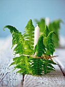 Fern leaves decorate a glass with a white candle in it