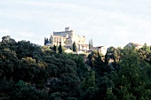View of castle and trees