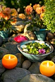 Kerzen und eine Schale mit Seerosen stehen auf Steinen. x