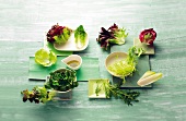 Varieties of lettuce leaves on plate