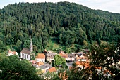 View of valley and building's surrounded by forest, Wirsberg, Germany